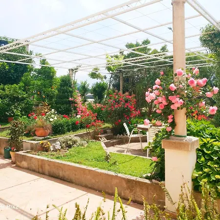 & Cakelic بيت ضيافة 3*