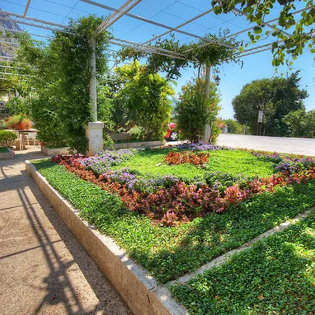 بيت ضيافة & Cakelic 3*